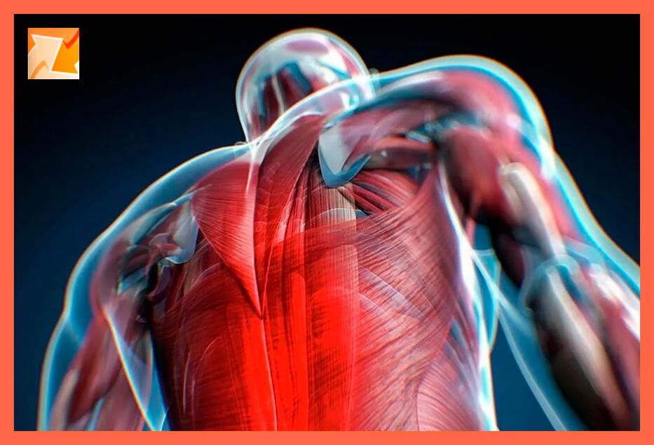 Diskomforta pazīmes